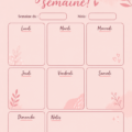 Personne utilisant un planner pour organiser sa semaine avec des stylos colorés.