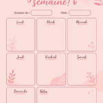Personne utilisant un planner pour organiser sa semaine avec des stylos colorés.