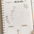 Illustration de la roue de la vie représentant divers aspects de l'équilibre personnel