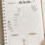 Illustration de la roue de la vie représentant divers aspects de l'équilibre personnel