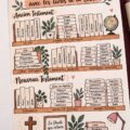 Bibliothèque inspirante avec des livres de la Bible sur étagères. Espace lumineux et accueillant.
