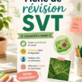 Illustration d'une fiche de révision SVT bien structurée avec des couleurs et graphiques
