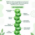 Femme en train de gérer ses tâches avec un système d'organisation sur un bureau bien rangé.